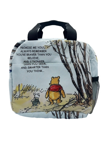 Borsa pranzo isolata - , ispirata